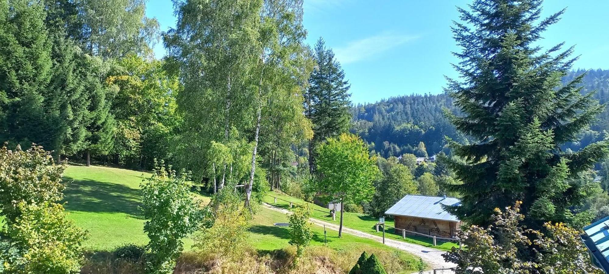 Pizzeria a penzion Banderas Bayerisch Eisenstein Esterno foto